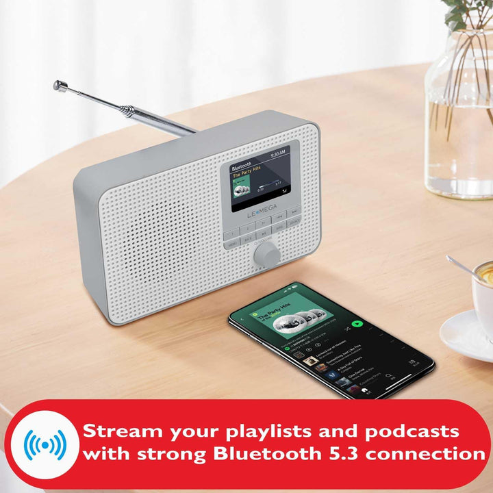 LEMEGA IR1 Tragbares WiFi Internetradio,DAB/DAB+/FM Digitalradio,Bluetooth,Doppelwecker,Schlaf-Snooz