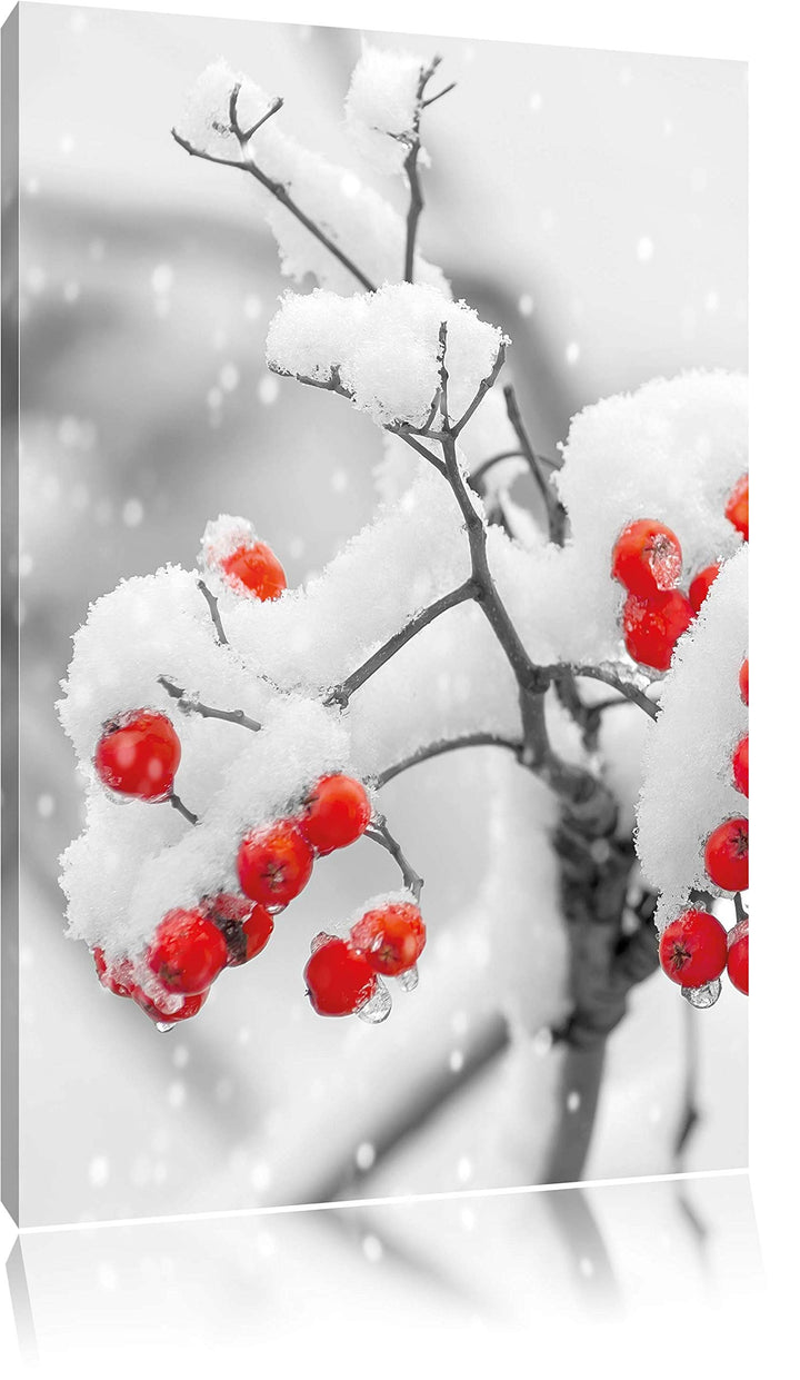 Pixxprint Rote Vogelbeeren im Winter als Leinwandbild/Grösse: 100x70 cm/Wandbild/Kunstdruck/fertig b