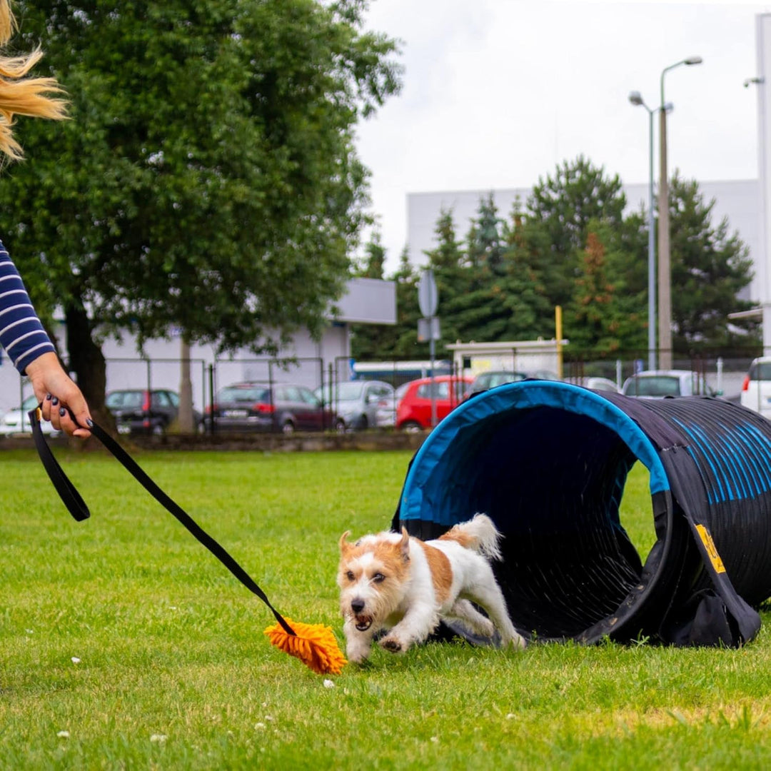 Dingo Mop auf länge Band 130 cm Agility Apporte Motivation Spiel mit Hund Zerrspielzeuge Training pe