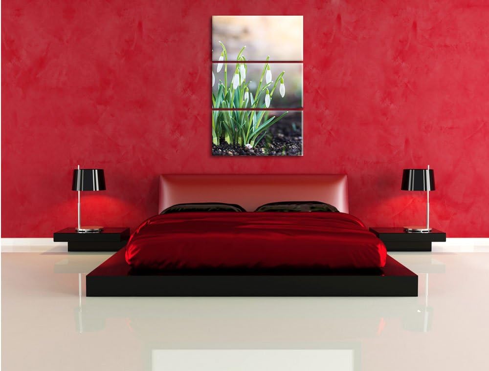 Pixxprint Schneeglöckchen am Waldrand als Leinwandbild/Grösse: 3 Teilig (120x80 cm) cm/Wandbild/Kuns