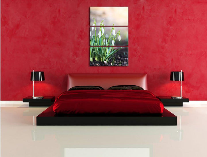 Pixxprint Schneeglöckchen am Waldrand als Leinwandbild/Grösse: 3 Teilig (120x80 cm) cm/Wandbild/Kuns