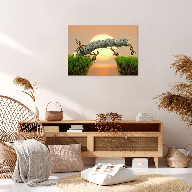 Bilder auf Leinwand Tiere Ameisen Brücke Natur Leinwandbild 70x50cm Wandbilder Dekoration Wohnzimmer