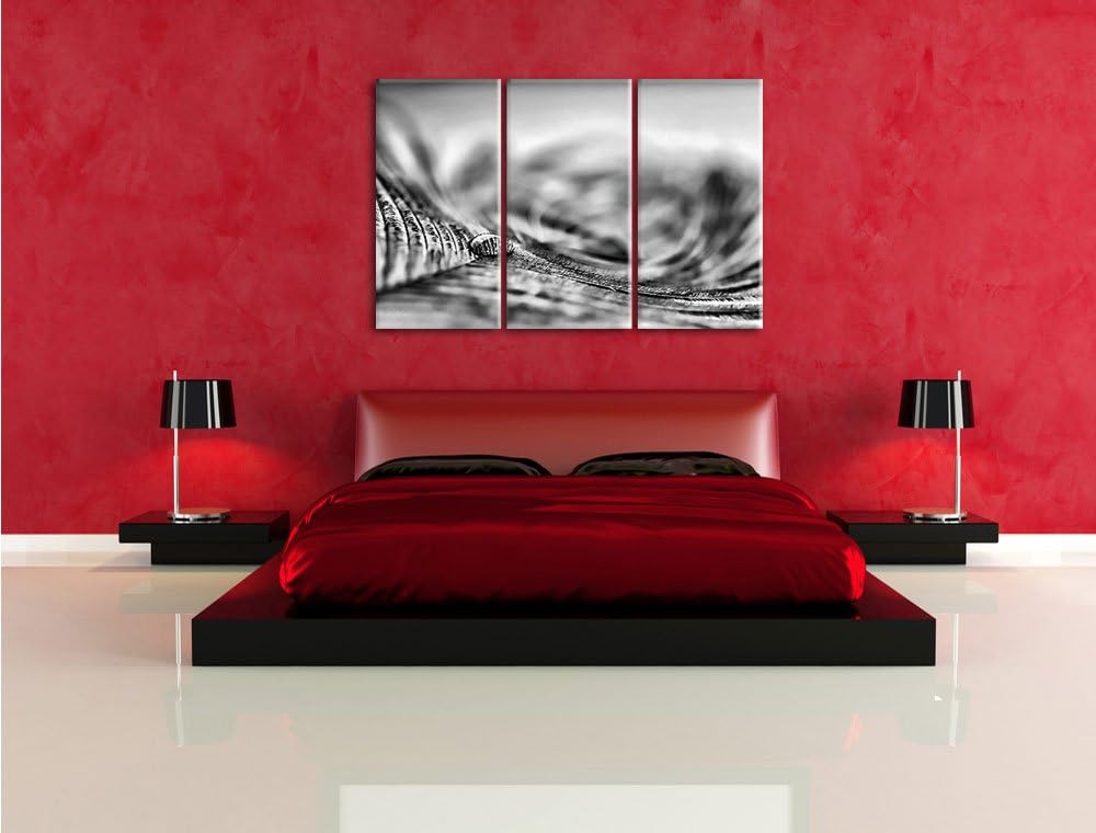 Pixxprint Pfauenfeder Detailaufnahme als Leinwandbild/Grösse: 3Teilig (120x80) / Wandbild/Kunstdruck