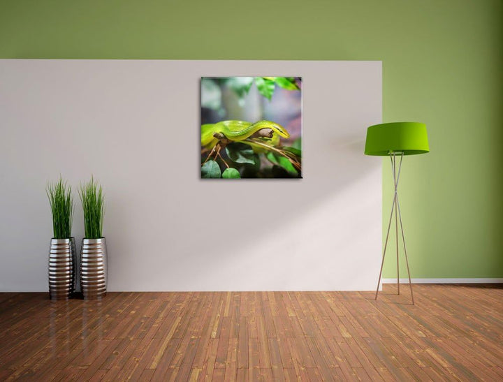 Raue grüne Schlange, Format: 70x70 auf Leinwand, XXL riesige Bilder fertig gerahmt mit Keilrahmen, K