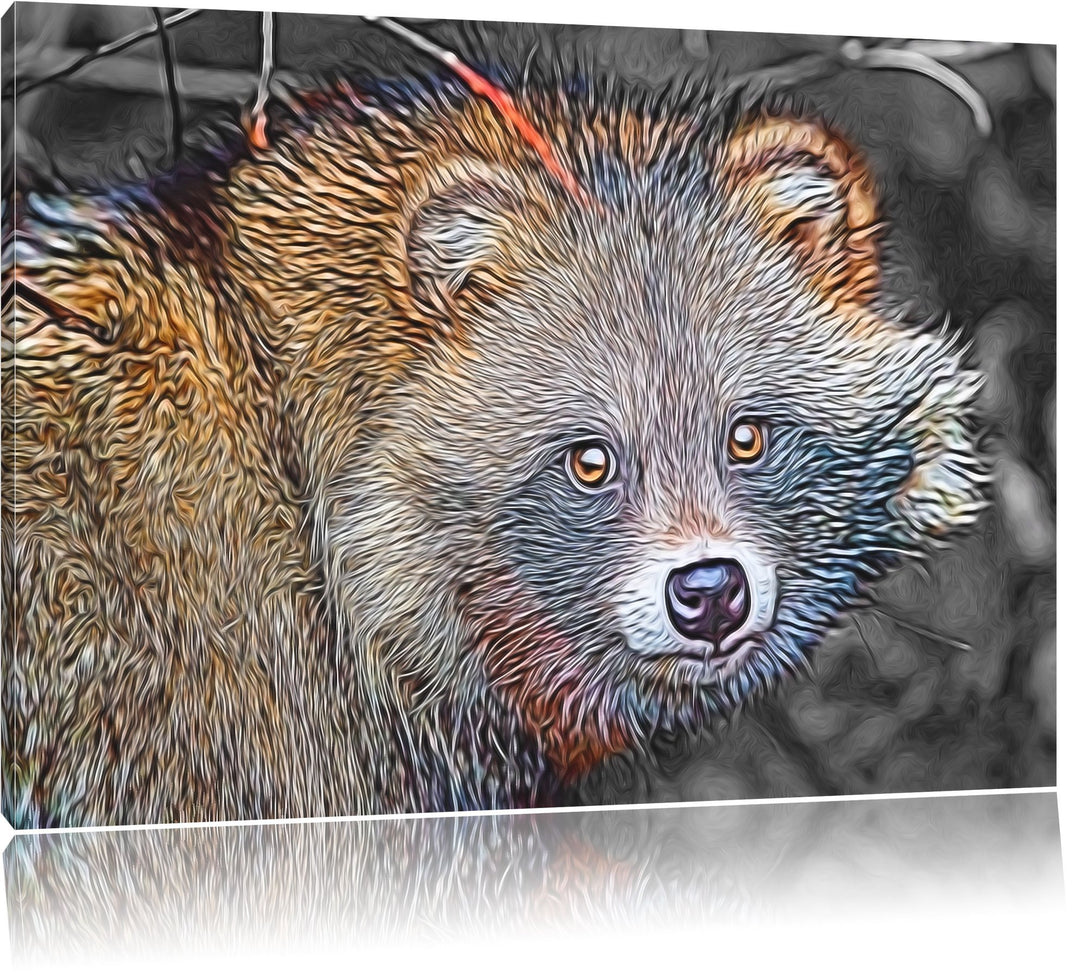 süsser Waschbär schwarz/weiss Deluxe Format: 100x70 cm auf Leinwand, XXL riesige Bilder fertig gerah