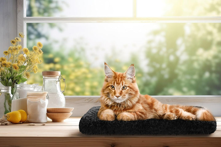 Katzen Fensterliege Fensterbank rutschfest - Katzenbett Fensterbank 50x25 cm - Weich & Kuschelig - F