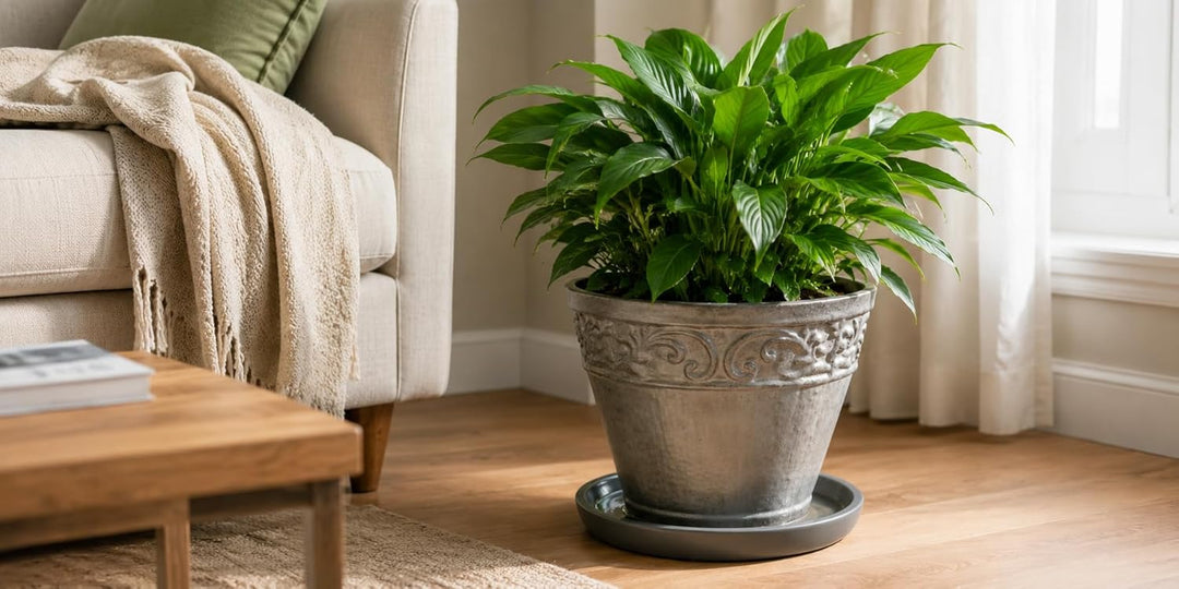 Pflanzen Untersetzer 35 cm Anthrazit– Frostfester Blumentopf Unterteller aus Keramik/Steinzeug, wett