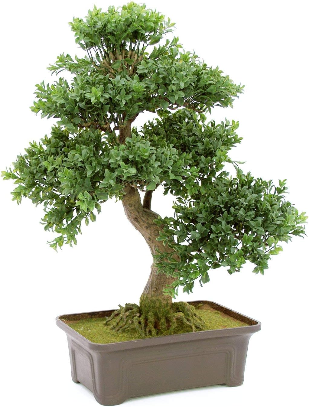 EUROPALMS Buchsbonsai, Kunstpflanze, 61 cm | Bonsai-Buchsbäumchen als Tischdeko