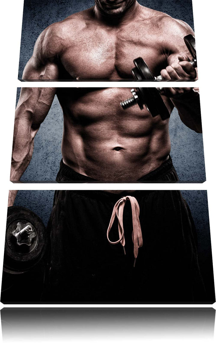 Pixxprint Starker Bodybuilder mit Hantel / 3-Teilig/Gesamtmass 120cm Leinwandbild bespannt auf Holzr