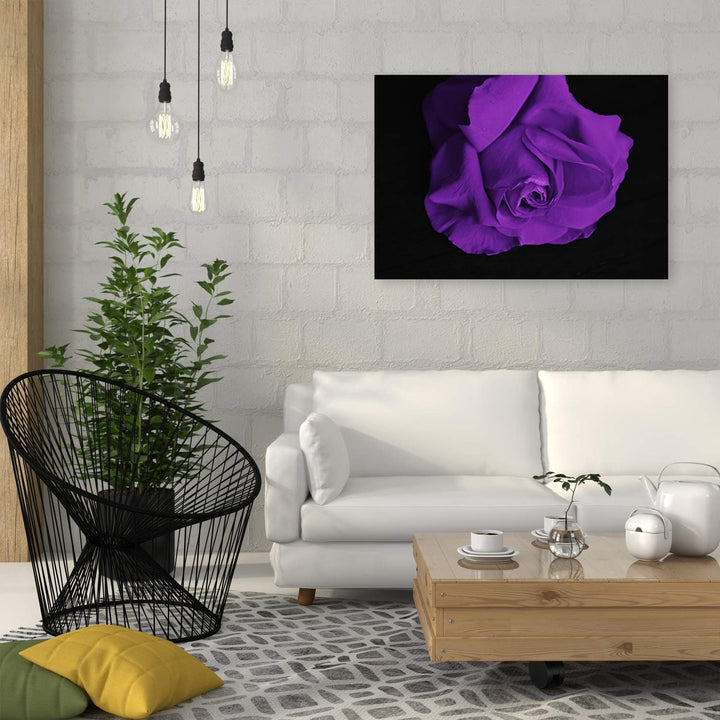 Feeby Leinwandbild Rose Bild Kunstdruck für Wohnzimmer Violett 70x50 cm M14574 70x50 cm, M14574 70x5