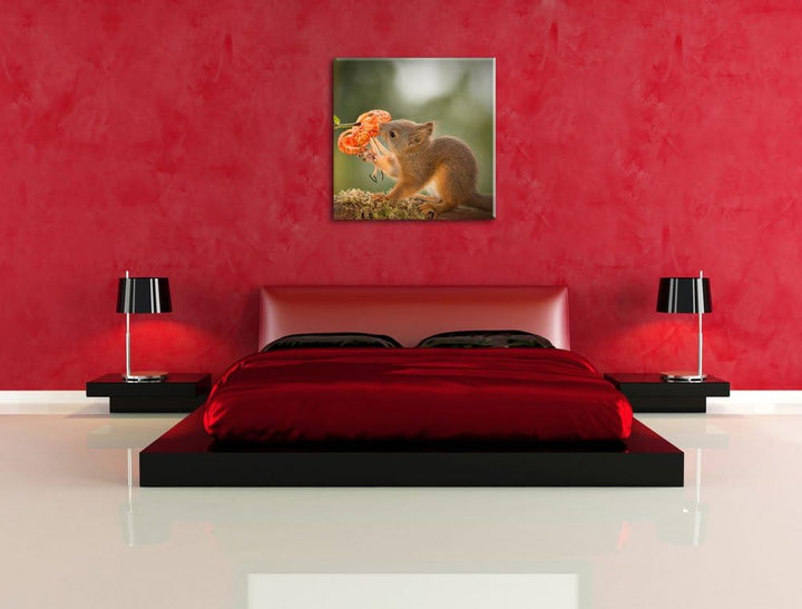 Pixxprint süsses Eichhörnchen riecht an Einer Blume, Format: 70x70 auf Leinwand, 70x70