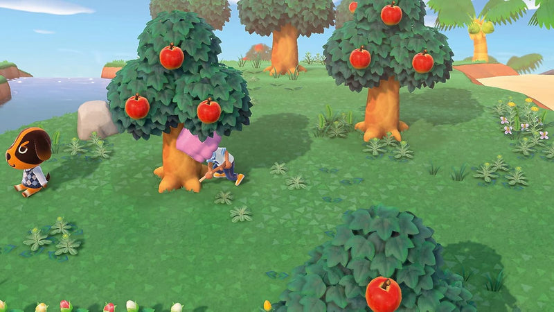 Nintendo Animal Crossing: New Horizons - [Nintendo Switch] Single, Single