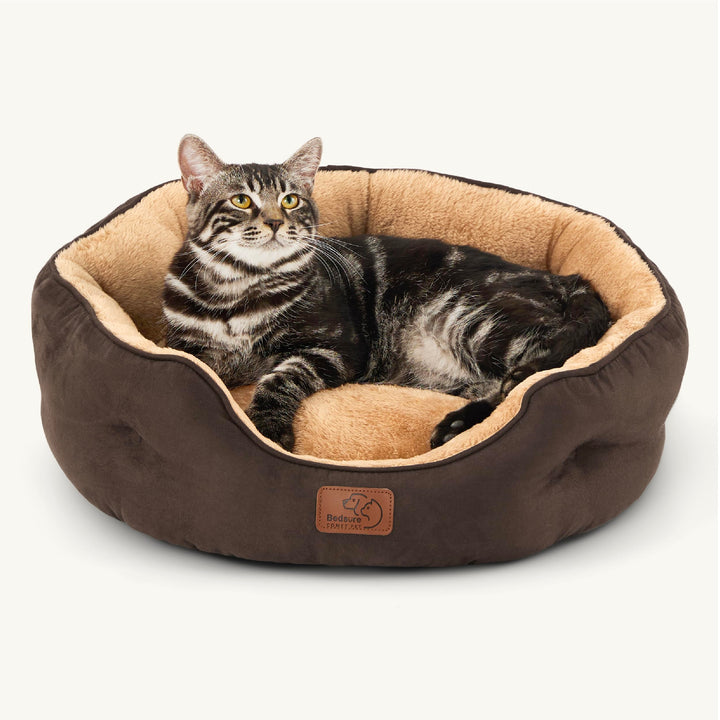 BEDSURE Katzenbett waschbar Katzen Bettchen - 51x48x15cm Katzenbett mit zweiseitig Innenkissen Katze