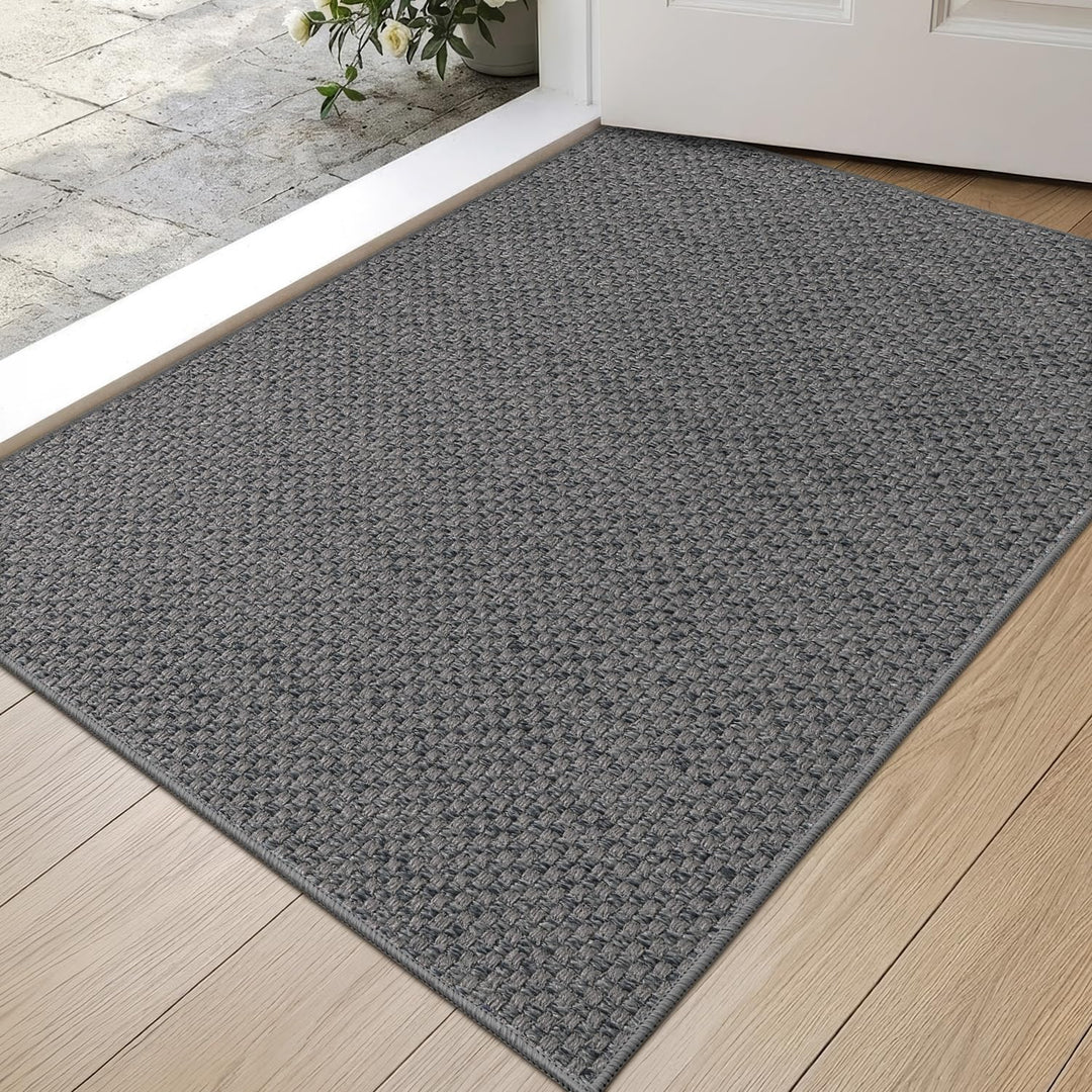 DEXI Schmutzfangmatte Innen 61 x 92 cm, rutschfest Fussmatte waschbar, absorbierend Fussmatte, Dünne