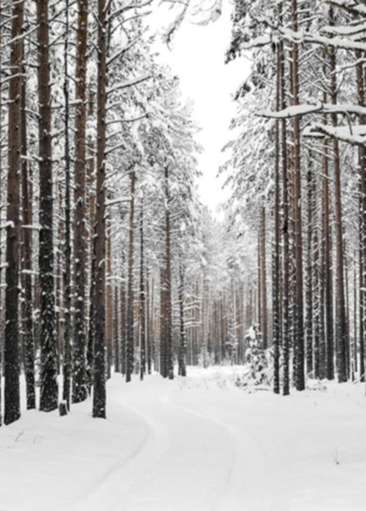 TROYSINC 3er Premium Poster Set, Winter Bilder, Elch, Holzhaus, Wald Wandkunst Wandbilder, Leinwand