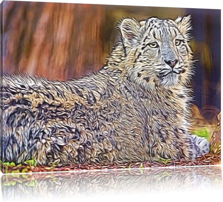 anmutiger Schneeleopard Deluxe Format: 100x70 cm auf Leinwand, XXL riesige Bilder fertig gerahmt mit