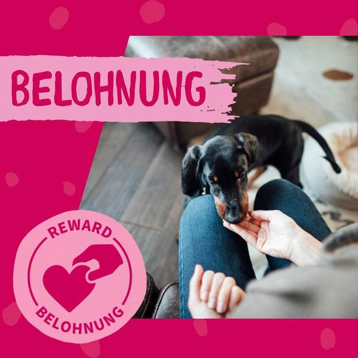 DOKAS Getreidefreier Premium Snack in Streifen für Hunde – Aus Entenbrustfilet, 900 g (4er Pack)