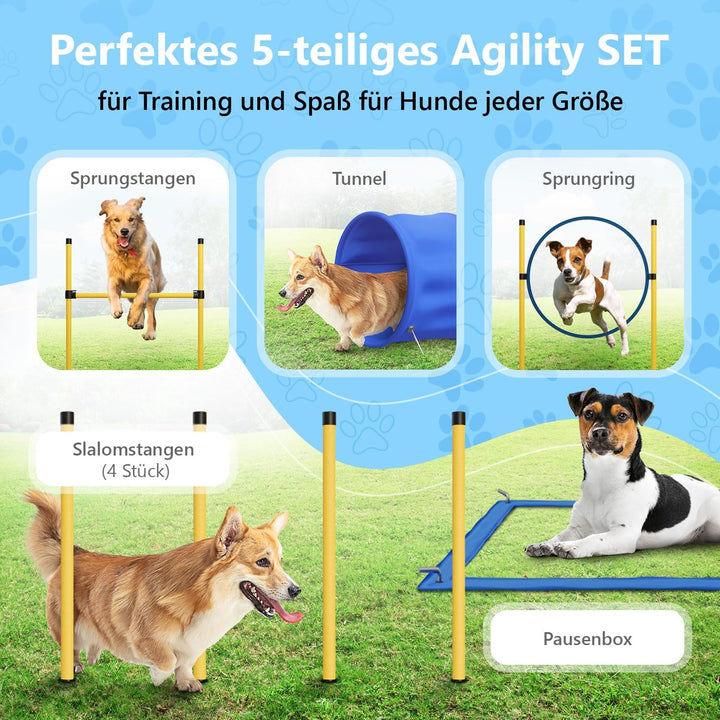 Agility Set Hunde Klein und Gross aus Tunnel für Hunde, Agility Stangen, Hürdenstange, Agility Ring