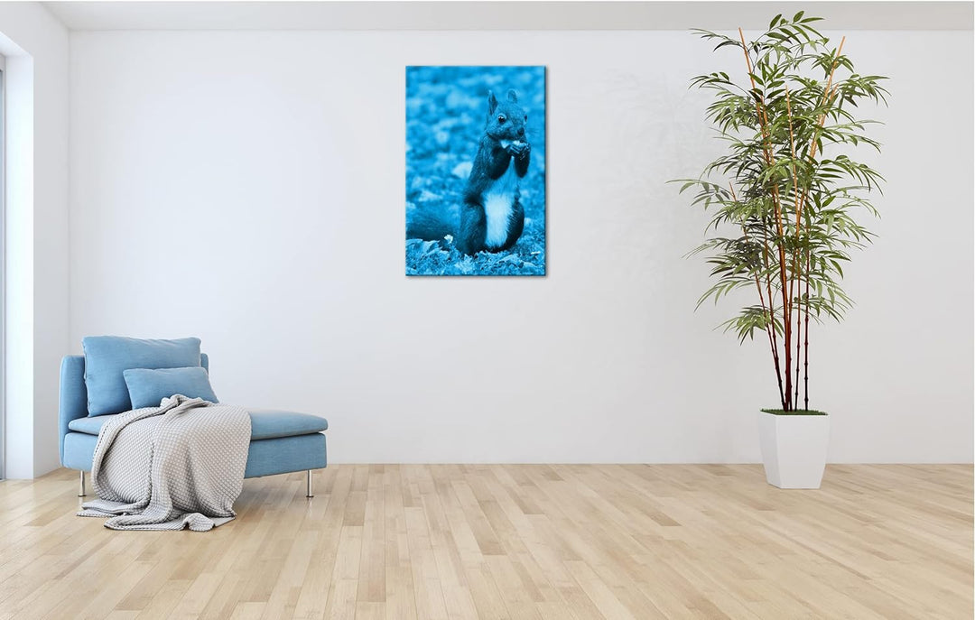 deyoli Zucker süsses Eichhörnchen beim essen Format 80x60 Effekt: Monocrome Blau als Leinwandbild, M