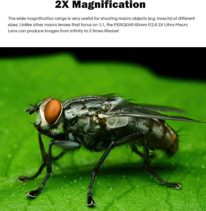 PERGEAR 60mm F2.8 II Ultra-Makro-Objektiv mit 2-facher Vergrösserung, kompatibel mit spiegellosen Vo
