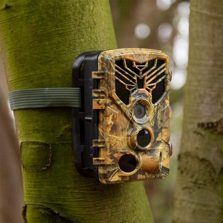 VC24 Basic Wildkamera Fotofalle Digital Full HD bis zu 24MP mit Bewegungsmelder Nachtsicht Schutzart