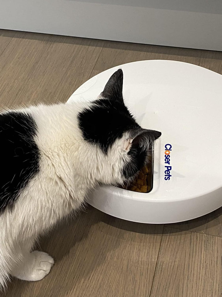 Closer Pets Five-Meal Automatischer Futternapf mit Edelstahl-Einsätzen und Kühlakkus (C500) 5 Meal F
