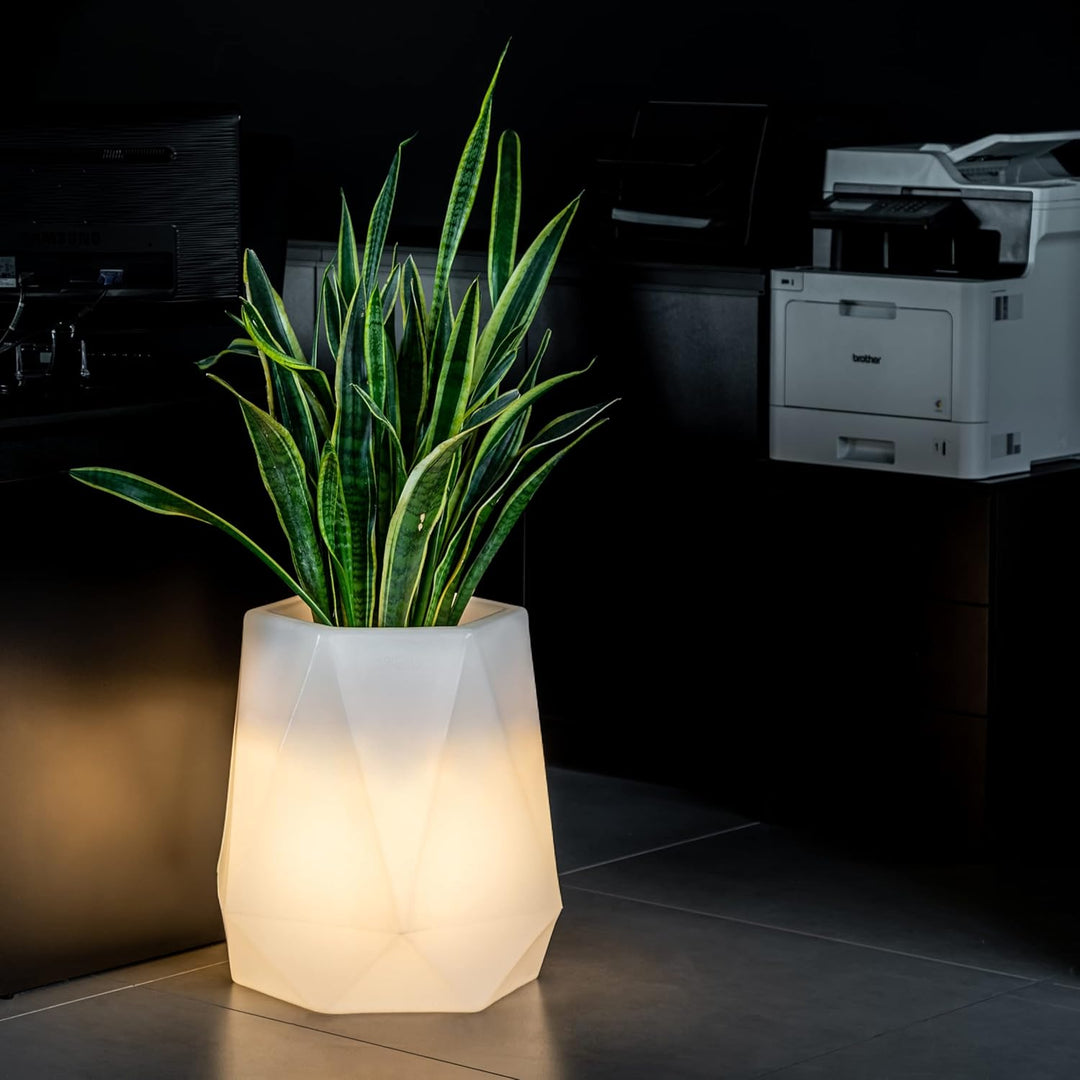 Monumo®️ Leuchtender Blumentopf Gross 54 cm x 47 cm x 47 cm | geeignet für Haus, Büro, Garten, Patio
