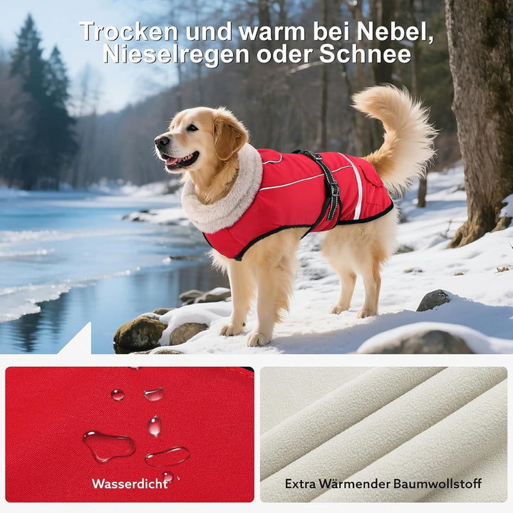 Hundemantel Winter, Hundemantel Wasserdicht für Kleine Hunde mit Verstellbaren Schultergurten, Warm