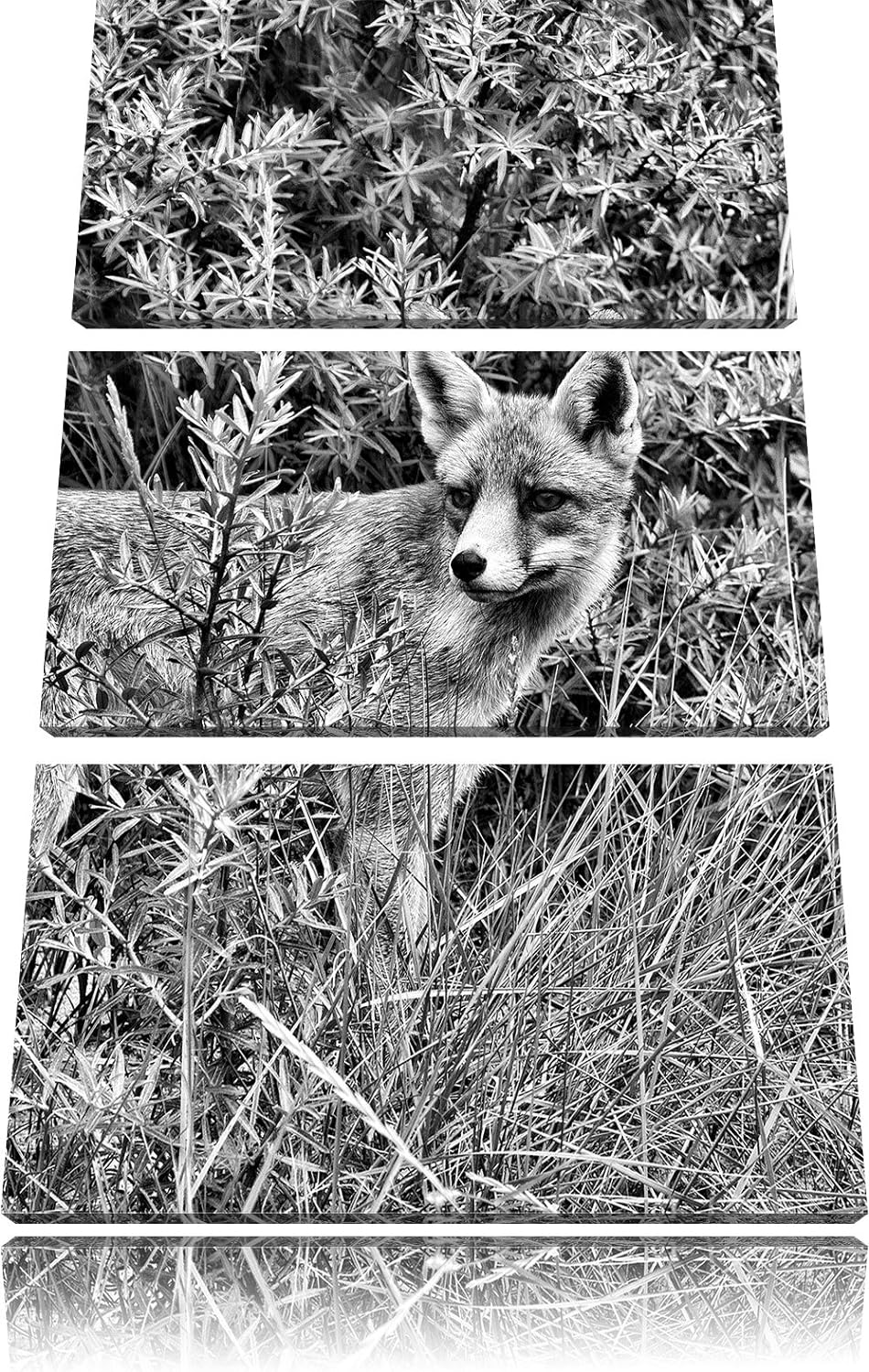 Pixxprint Monocrome, listiger Fuchs im Wildstrauch 3-Teiler Leinwandbild 120x80 Bild auf Leinwand