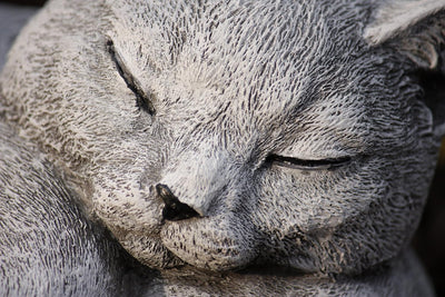 Steinfigur Katze schlafend Frost- und wetterfest bis -30°C, massiver Steinguss