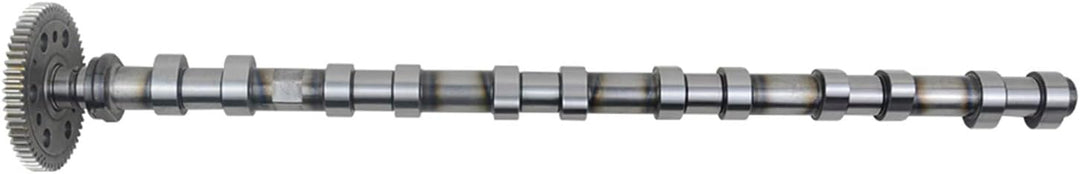 Auslass Nockenwelle 11317791580 Kompatibel mit 3er 5er 6er 7er X3 X5 X6 E46 E90 E91 E92 E93 E39 E60