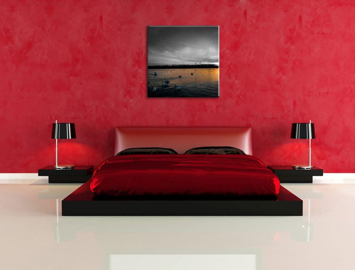 Pixxprint Weisse Schwäne im Sonnenuntergang schwarz/weiss, Format: 70x70 auf Leinwand, 70x70