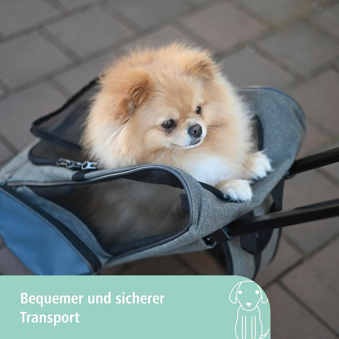 Trolley Vacation 41x26x55/103cm, grau/blau