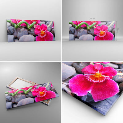 Wandbilder Dekoration Wohnzimmer Asiatisch bambus orchidee steine Panorama Bilder auf Leinwand 120x5