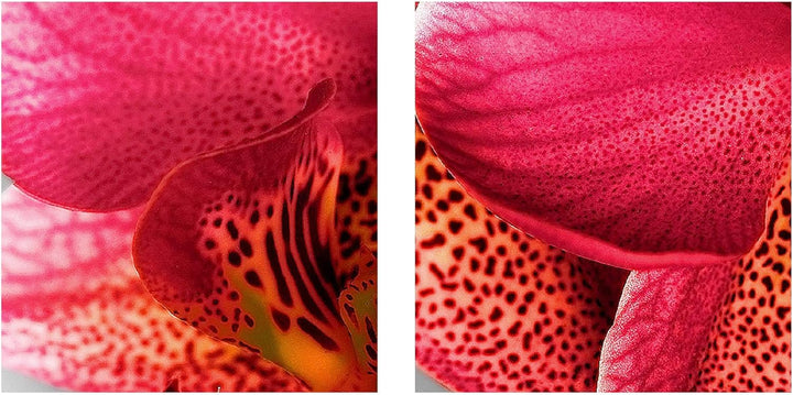 Runa Art Wandbilder Blumen Orchidee Bild XXL Wohnzimmer Schlafzimmer Grau Violett Abstrakt 120 x 80