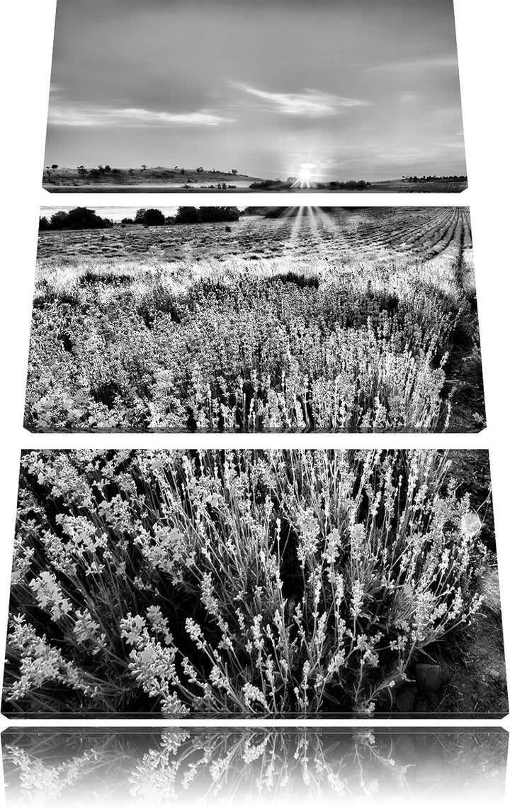 Pixxprint Lavendelfeld in Frankreich als Leinwandbild/Grösse: 3 Teilig (120x80) cm/Wandbild/Kunstdru