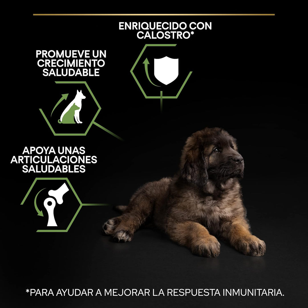 Pro Plan PURINA PRO PLAN Large Robust Puppy Healthy Start, Welpenfutter trocken, reich an Huhn, 1er