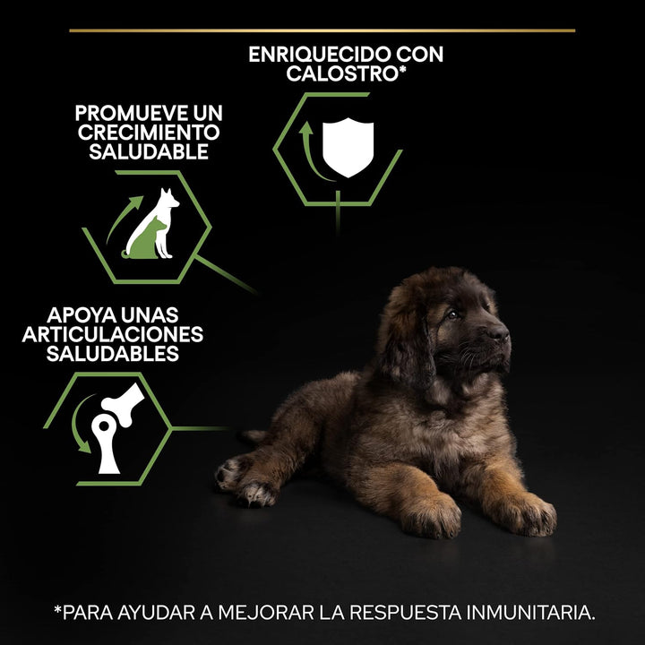 Pro Plan PURINA PRO PLAN Large Robust Puppy Healthy Start, Welpenfutter trocken, reich an Huhn, 1er