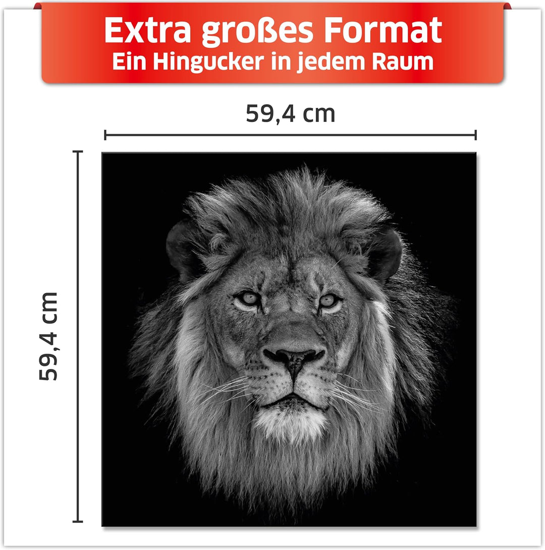 Primus Print - Wandbild Glasbild - Acrylglas Aludibond (Aluminium, Löwe 59,4x59,4 cm /A1 quadrat) Al