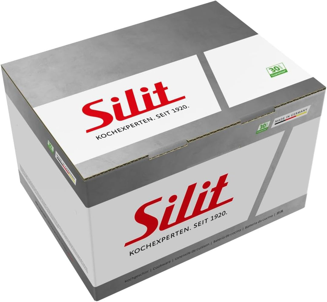 Silit Modesto Line Kochtopf klein 16cm, kleiner Topf mit Glasdeckel, Fleischtopf Induktion 2l, Nudel