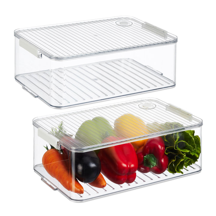 Relaxdays Kühlschrank Organizer, 2er Set, Kühlschrankeinsätze mit Deckel & Datum, HxBxT: 10,5 x 21 x
