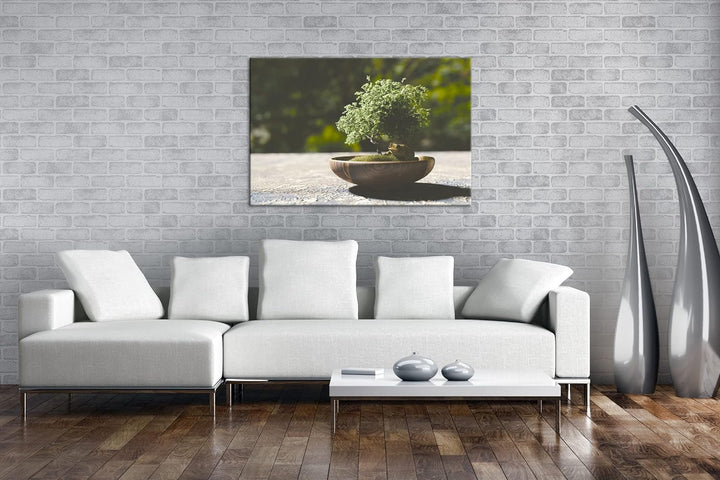 deyoli kleiner niedlicher Bonsai Format: 80x60 als Leinwandbild, Motiv fertig gerahmt auf Echtholzra