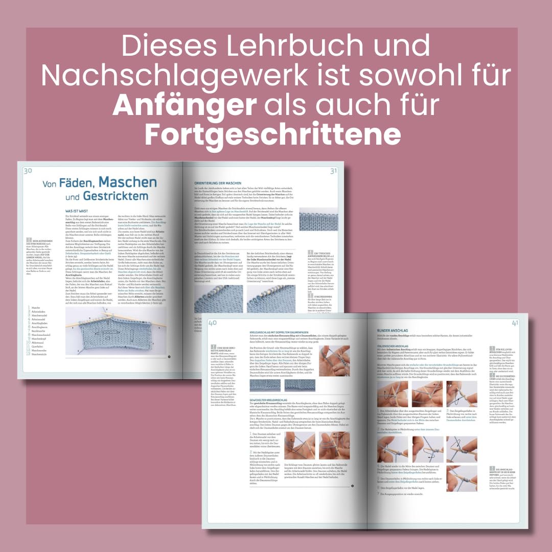 Stricken - Das Standardwerk: Das erfolgreichste Grundlagenwerk. Mit vielen aktuellen Trend- und Spez