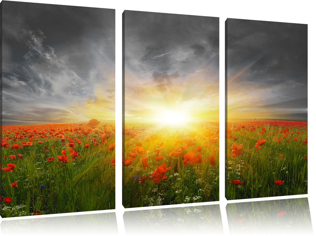 Pixxprint Mohnwiese in der Sonne als Leinwandbild/Grösse: 3 Teilig (120x80) cm/Wandbild/Kunstdruck/f