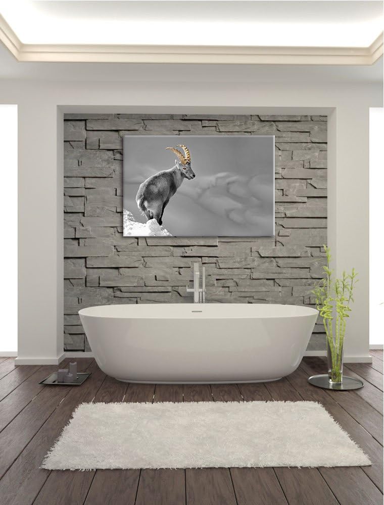 schöner Steinbock im Schnee schwarz/weiss Format: 100x70 auf Leinwand, XXL riesige Bilder fertig ger