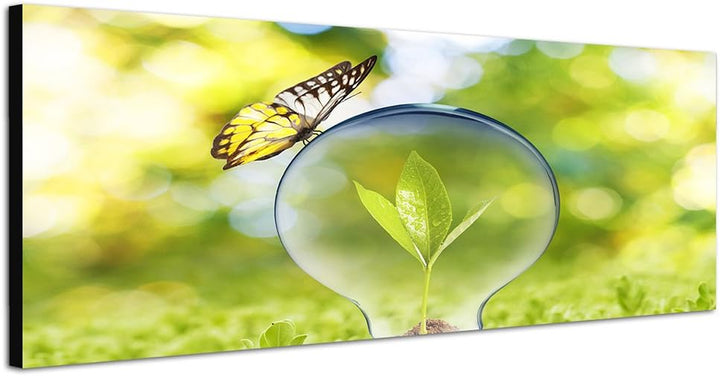 Paul Sinus Art Panoramabild auf Leinwand und Keilrahmen 150x50cm Wiese Glühbirne Sprössling Schmette
