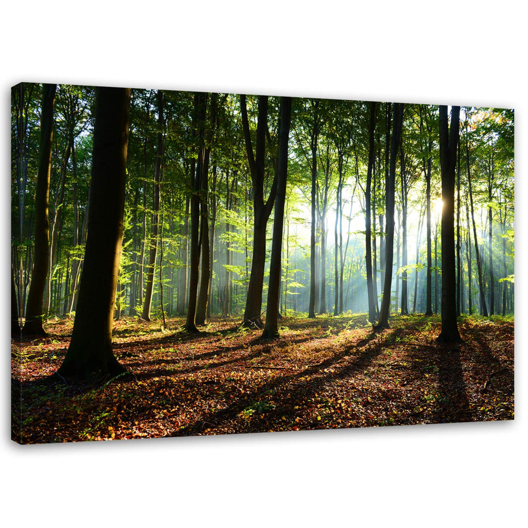 Feeby, Leinwandbild, Bilder, Wand Bild, Wandbilder, Kunstdruck 40x60cm, Wald, Baum, Landschaft, Natu