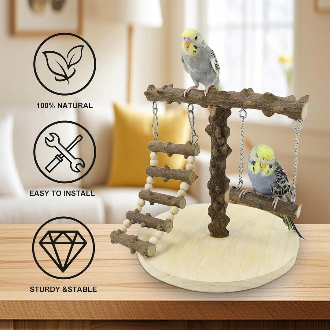 Wellensittich Spielplatz, Vogel Spielplatz Holz mit Spielzeug Leiter Erklimmen Schaukel, Vogel Sitzs