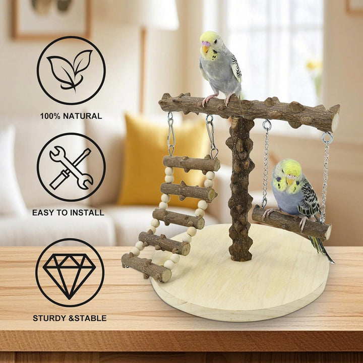 Wellensittich Spielplatz, Vogel Spielplatz Holz mit Spielzeug Leiter Erklimmen Schaukel, Vogel Sitzs