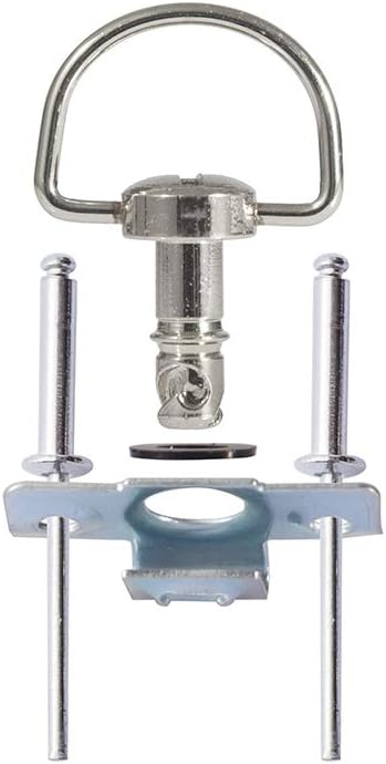 Oldbones Motorrad-Rennverschlüsse, Schnellverschluss, D-Ring, 1/4-Drehung, Rennverkleidung, Nieten,